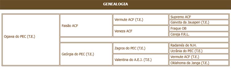 GENEALOGIA