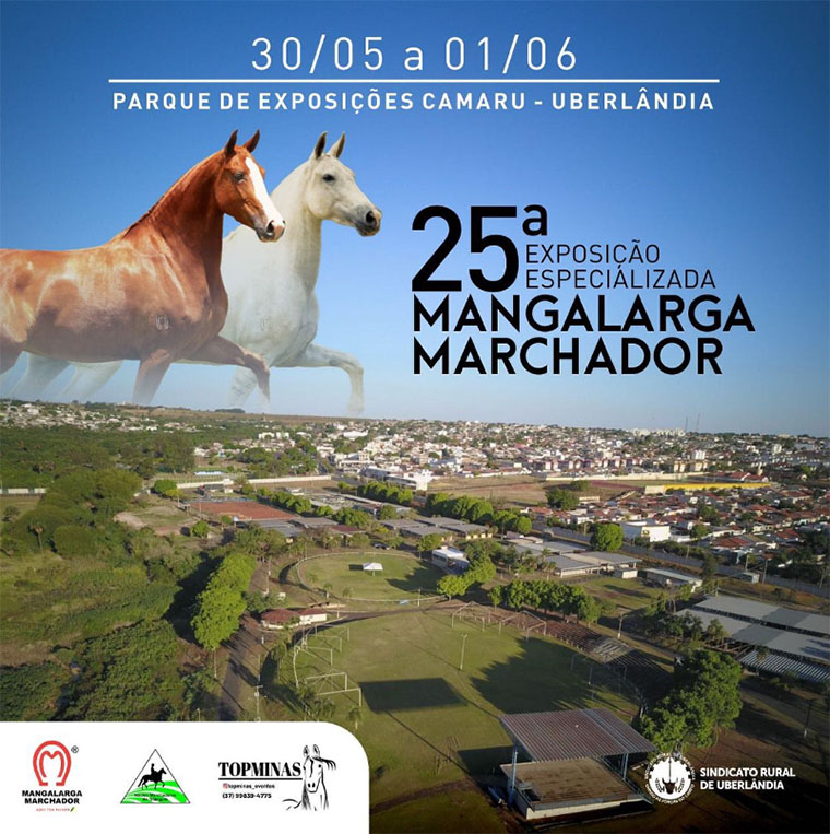 Exposição Mangalarga Marchador