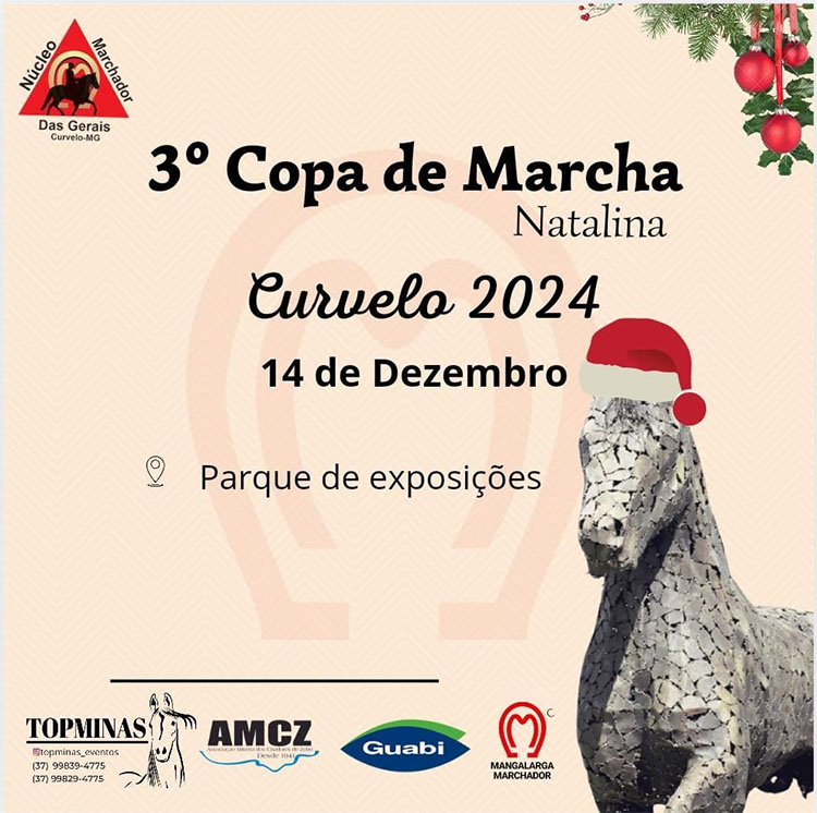 3ª Copa de Marcha Natalina em Curvelo (MG)