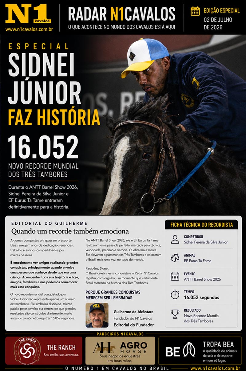 Sudnei Juniot
