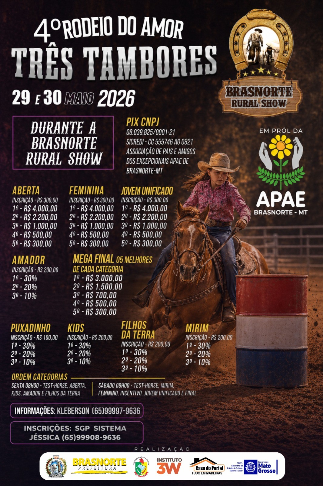 Rodeio de Brasnorte