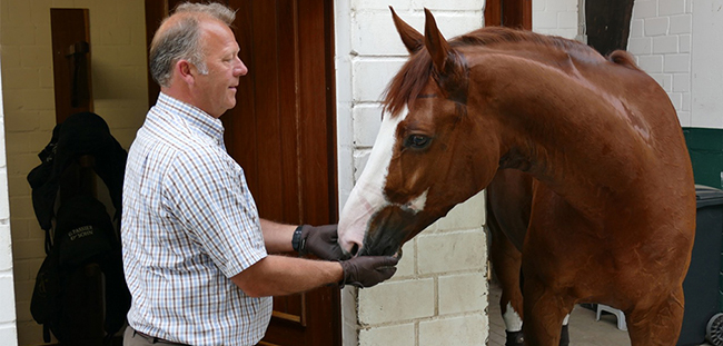 Hipismo 1