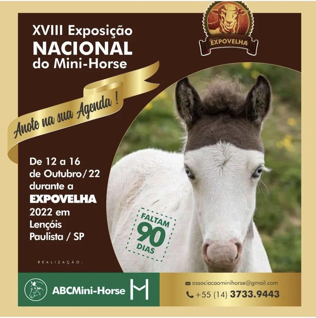  XVIII Exposição Nacional do Mini Horse
