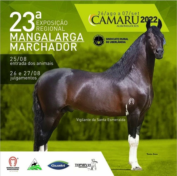 23ª Exposição Regional do Magalarga Marchador de Uberlândia 
